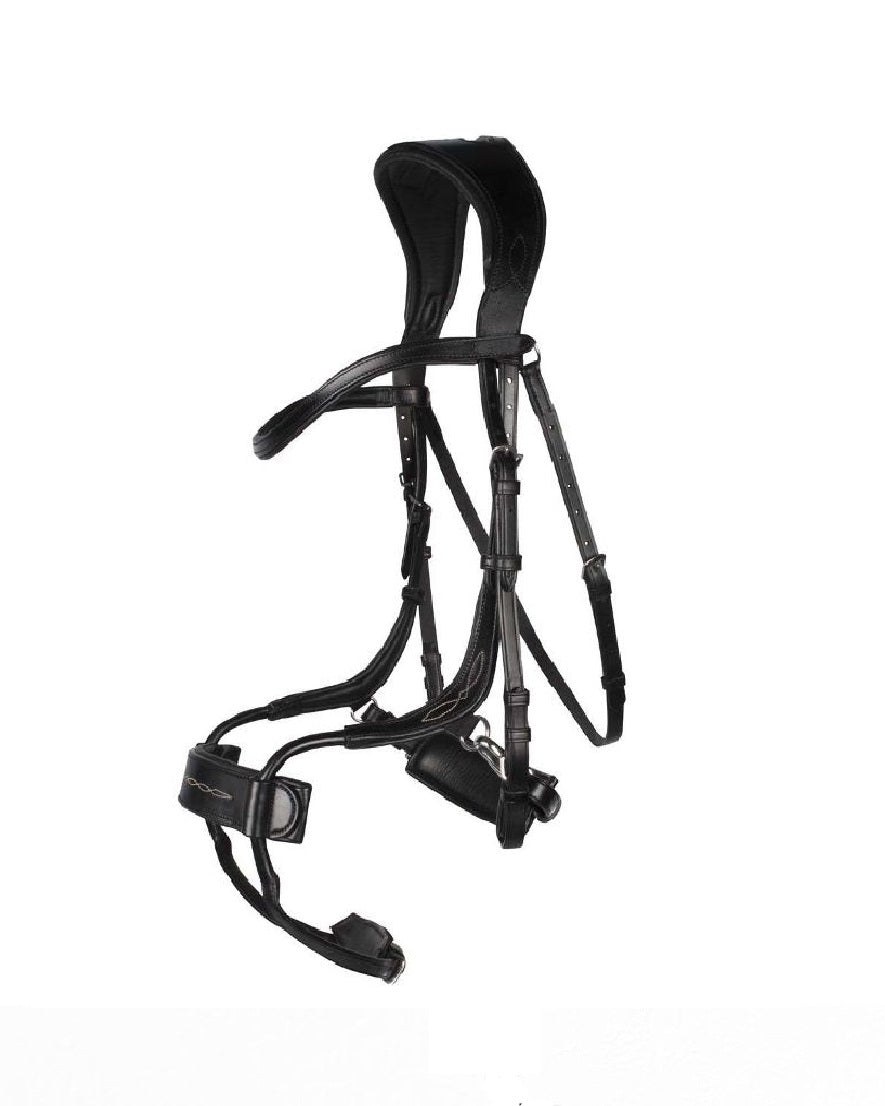 Freedom Bridle (Full)
