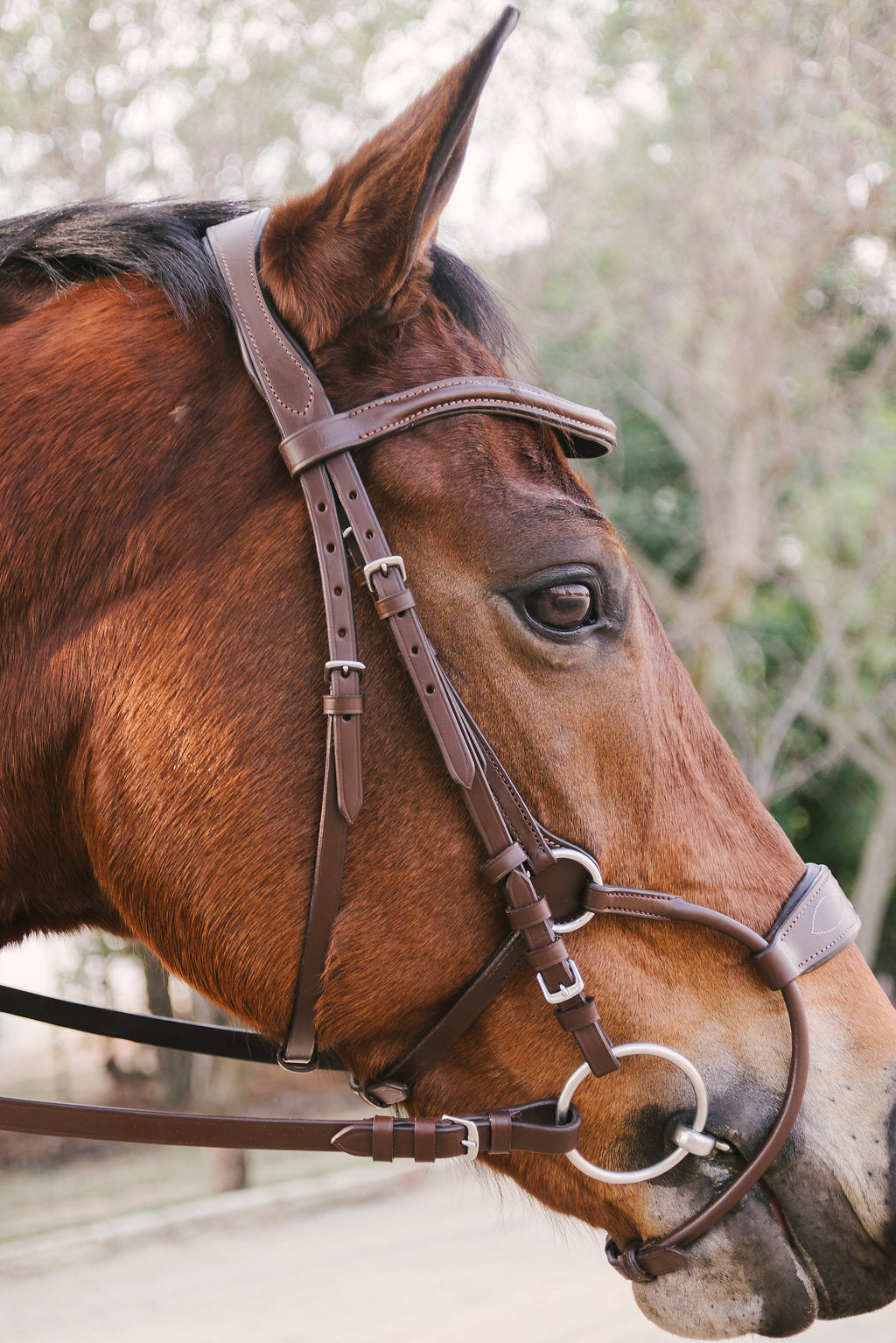 Freedom Bridle - Brown