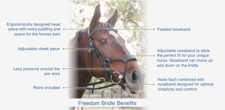 Freedom Bridle - Black
