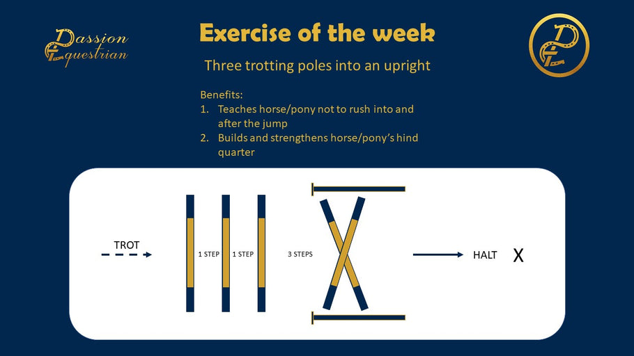 Exercise of the week - Trotting poles into a simple jump