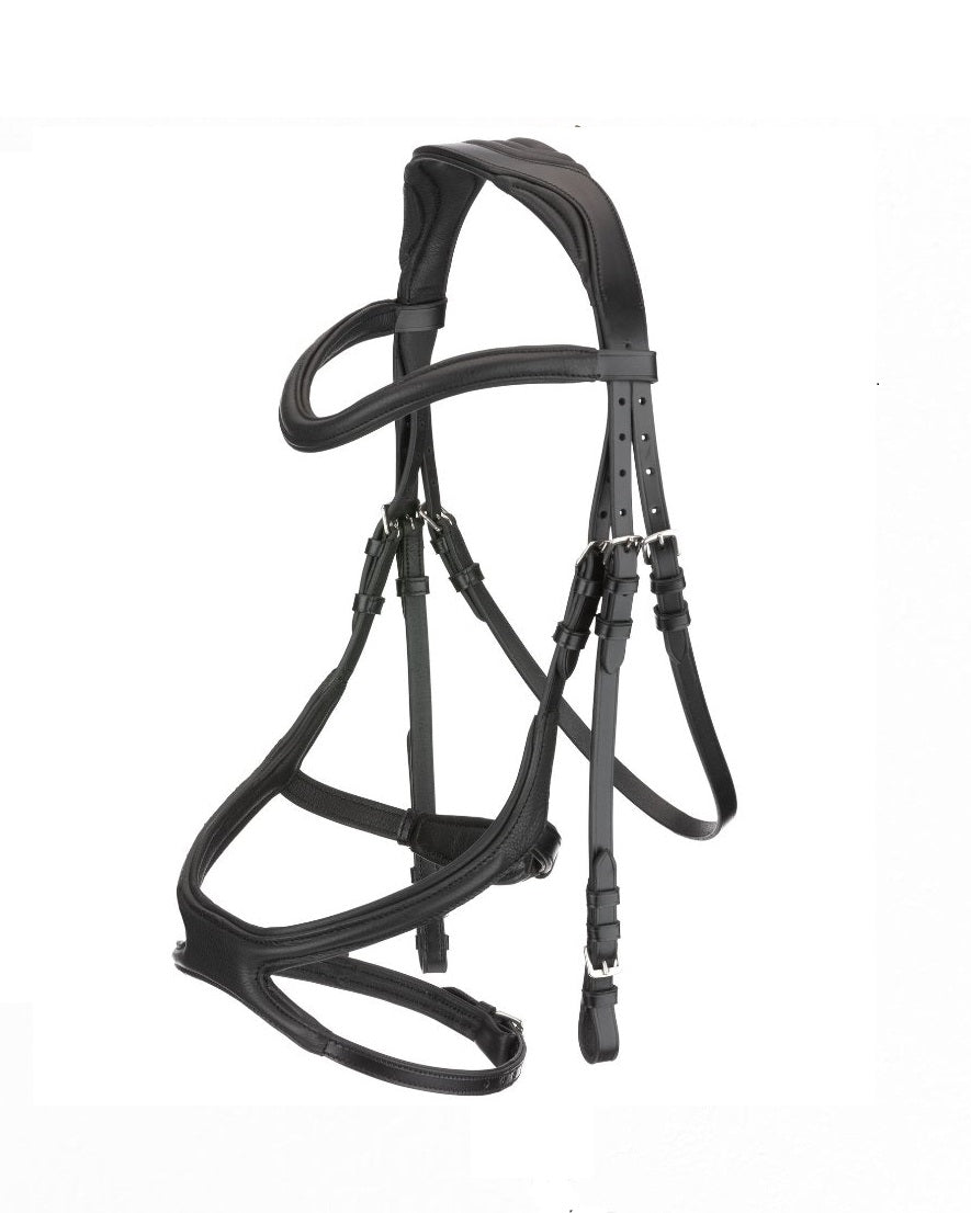 Freedom Grackle Bridle  (Full Size)