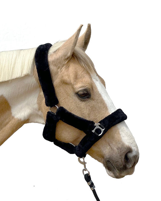 Fur Halter - BLACK - including lead rope
