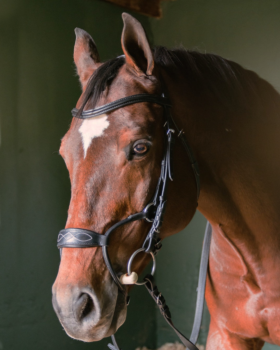 Freedom Bridle - Black