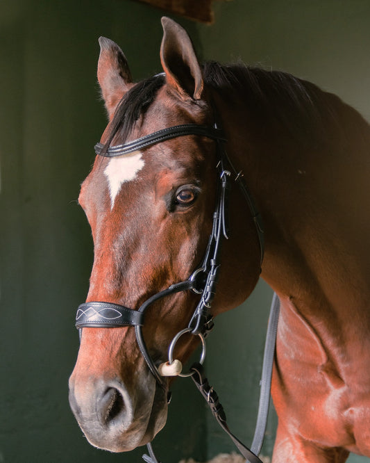 Freedom Bridle - Black