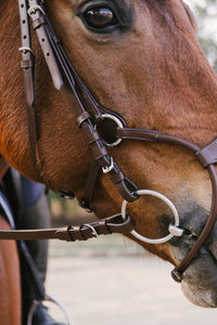 Freedom Bridle - Brown