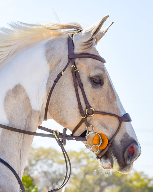 Freedom Bridle - Brown