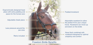 Freedom Bridle - Brown